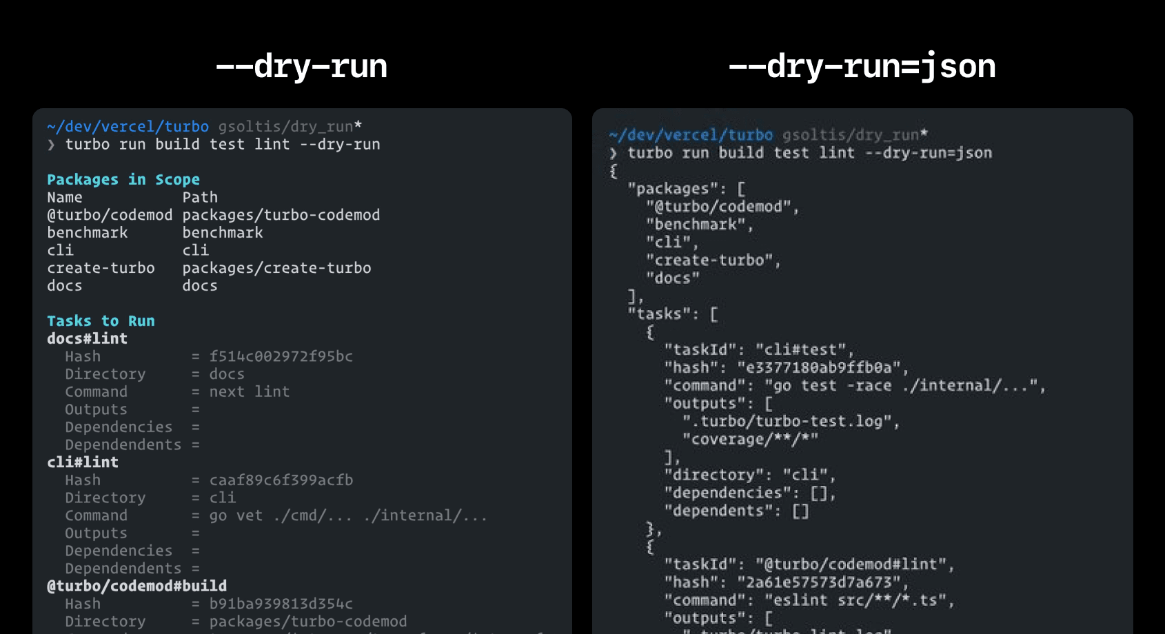 Turborepo Dry Run output showing task information
